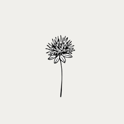 Safflower