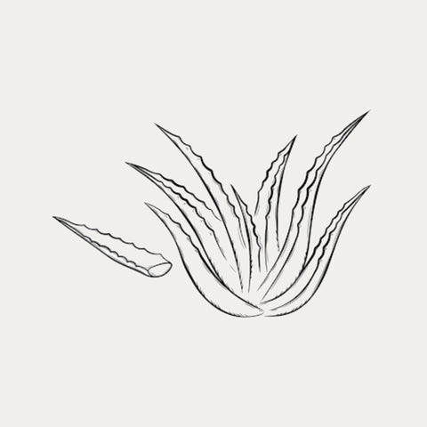 Aloe Leaf Juice