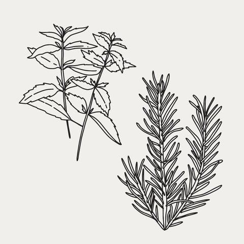 Peppermint & Rosemary